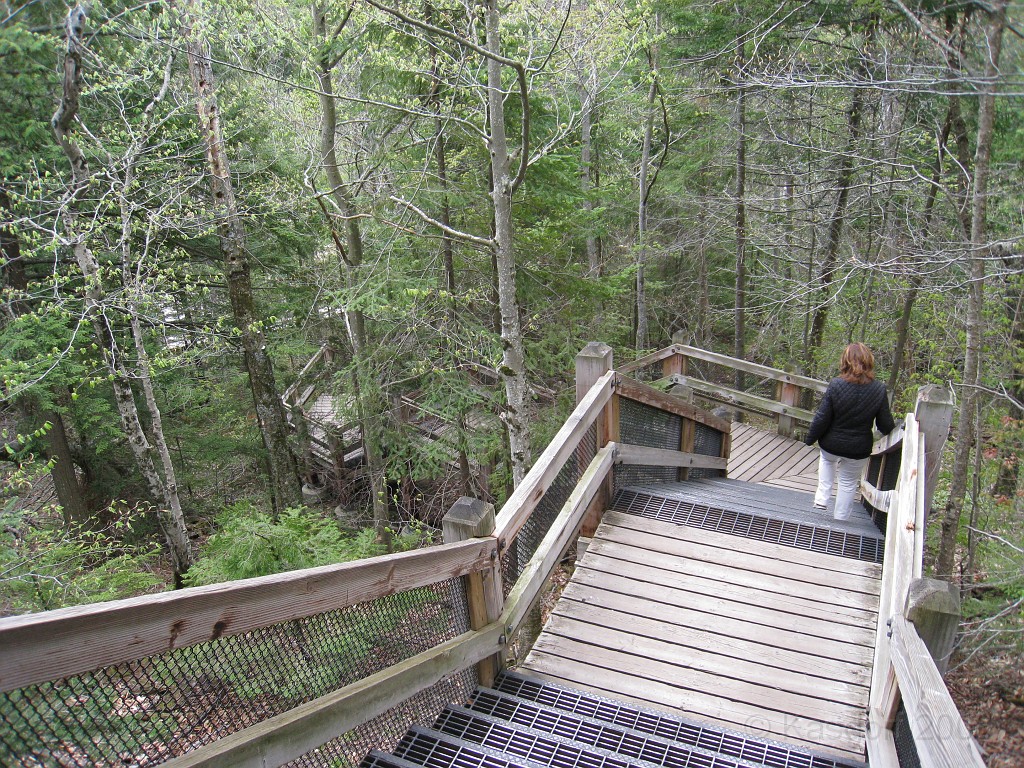 Mackinaw Island Area May 2008 1180.jpg - May 24 2008 a trip to Mackinac City for a 5 M race and a visit to Mackinac Island. A day to the UP, Paradise, Whitefish Point and Tahquamen Falls. This was followed by trips to Petoskey and Charlevoix.